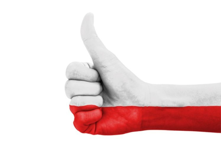 Un nou an de studiere a limbii și culturii poloneze la USARB!